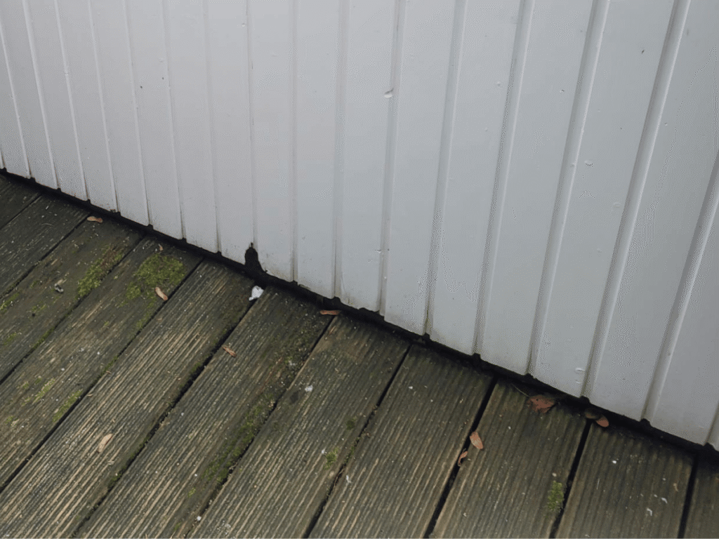 Balkonsanierung in Binz Fäulnis 2