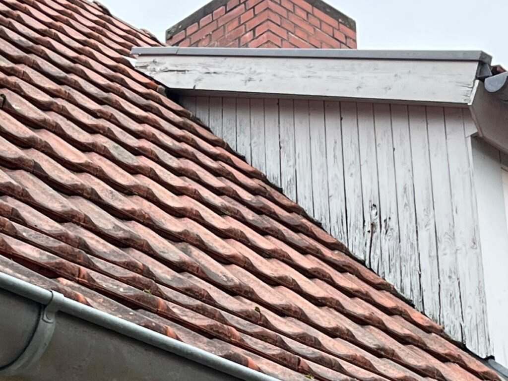 Gaubensanierung in Greifswald-Riems